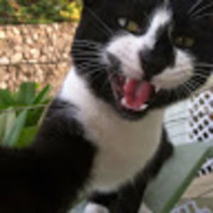 Meet your Posher, Jazmine